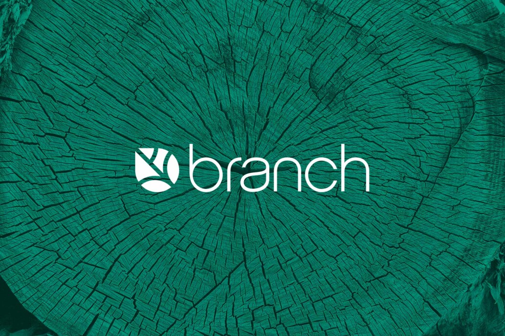 Bozeman logo design and graphic design.